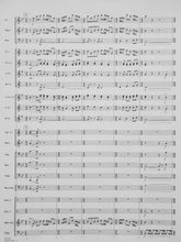 Load image into Gallery viewer, Regal Fanfare Richard Saucedo