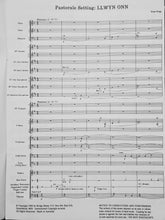 Load image into Gallery viewer, Llwyn Onn Brian Hogg