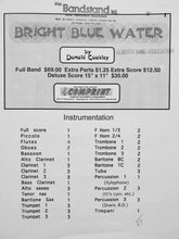 Load image into Gallery viewer, Bright Blue Water Donald Coakley