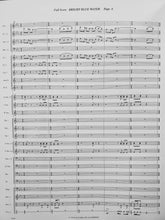 Load image into Gallery viewer, Bright Blue Water Donald Coakley