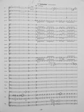 Load image into Gallery viewer, Madurodam Johan de Meij