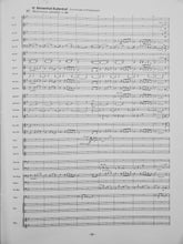 Load image into Gallery viewer, Madurodam Johan de Meij