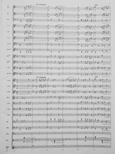 Load image into Gallery viewer, Appalachian Legacy Robert Sheldon