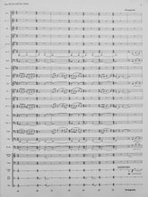 Load image into Gallery viewer, The Witch and the Saint Steven Reineke