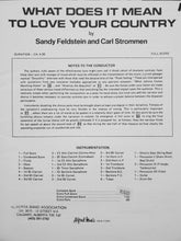 Load image into Gallery viewer, What Does It Mean To Love Your Country Sandy Feldstein & Carl Strommen