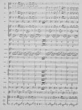 Load image into Gallery viewer, What Does It Mean To Love Your Country Sandy Feldstein & Carl Strommen