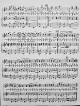 Load image into Gallery viewer, Joie de Triumphe Egil Smedvig