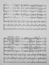 Load image into Gallery viewer, Roumanian Rhapsody No. 2, Themes from Enesco, Georges Gumma, Victor L.