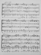 Load image into Gallery viewer, Courtship of a Marionette N.K Brahmstedt