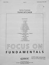 Load image into Gallery viewer, Suncatcher James Curnow