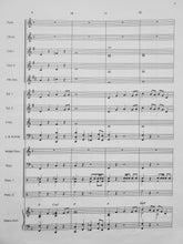 Load image into Gallery viewer, Suncatcher James Curnow