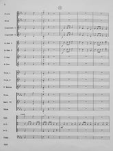 Load image into Gallery viewer, Riverbend Rhapsody David Shaffer