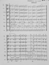 Load image into Gallery viewer, County Fair Acton Ostling