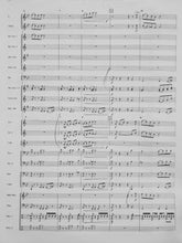 Load image into Gallery viewer, Where the Rivers Meet Douglas Court