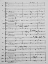 Load image into Gallery viewer, Kenya Contrasts William Himes