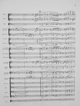 Load image into Gallery viewer, Air for Band Frank Erickson