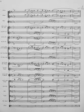 Load image into Gallery viewer, Air for Band Frank Erickson