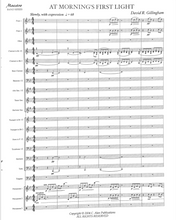 Load image into Gallery viewer, At Morning's First Light David R. Gillingham