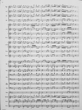 Load image into Gallery viewer, Within the Castle Walls Brian Balmages
