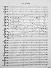 Load image into Gallery viewer, Within the Castle Walls Brian Balmages
