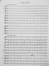 Load image into Gallery viewer, Within the Castle Walls Brian Balmages
