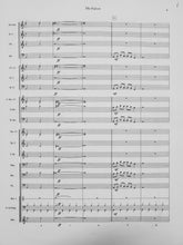 Load image into Gallery viewer, The falcon Lann Lieurance
