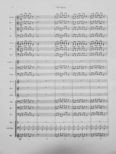 Load image into Gallery viewer, The falcon Lann Lieurance
