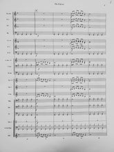 Load image into Gallery viewer, The falcon Lann Lieurance
