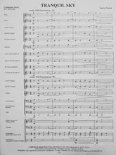 Load image into Gallery viewer, Tranquil Sky Larry Neeck
