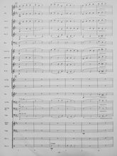 Load image into Gallery viewer, Tranquil Sky Larry Neeck
