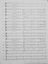 Load image into Gallery viewer, Tranquil Sky Larry Neeck
