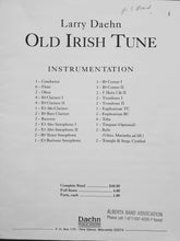 Load image into Gallery viewer, Old Irish Tune Larry Daehn

