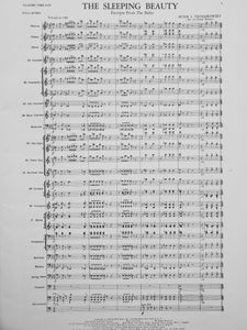 The Sleeping Beauty: Excerpts from the Ballet Peter. I Tschaikowsky arr. David Bennett