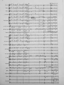 The Sleeping Beauty: Excerpts from the Ballet Peter. I Tschaikowsky arr. David Bennett
