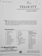 Velocity Robert Sheldon