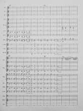 Load image into Gallery viewer, Peace Song Timothy Broege
